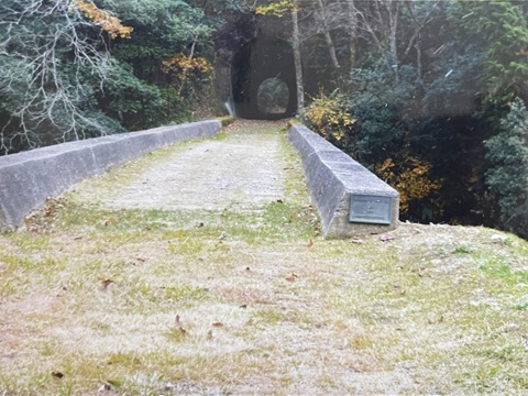 線路予定地を歩く参加者